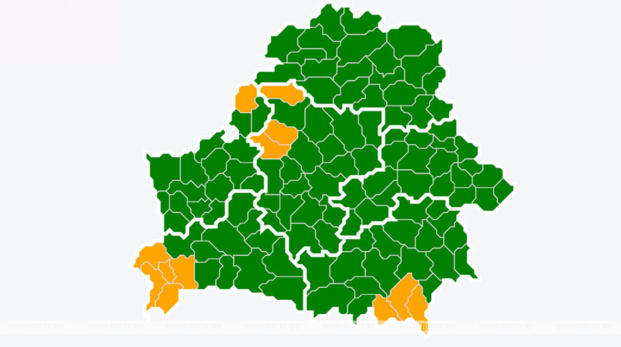 Фото mlh.by Фото mlh.by