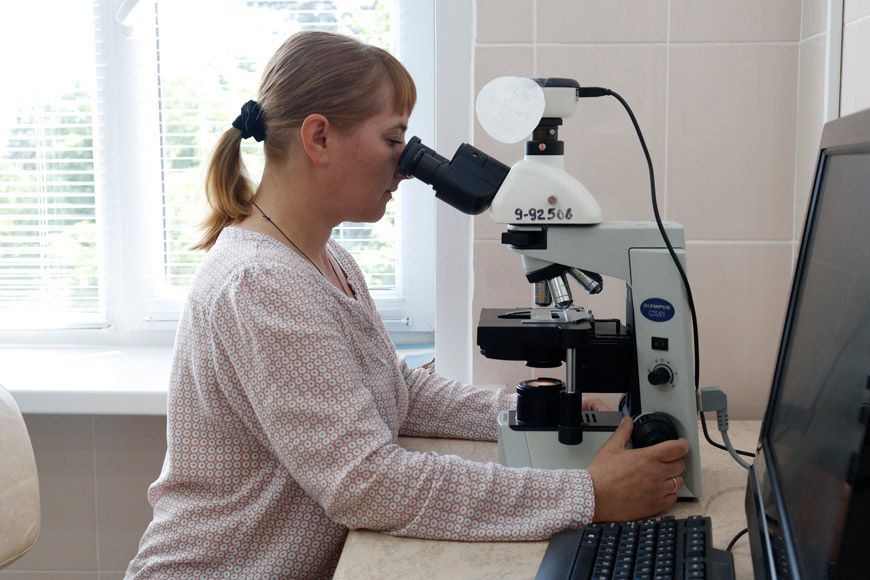 Ведущий научный сотрудник лаборатории селекции плодовых культур Института плодоводства Марина Борисенко изучает жизнеспособность пыльцы алычи культурной