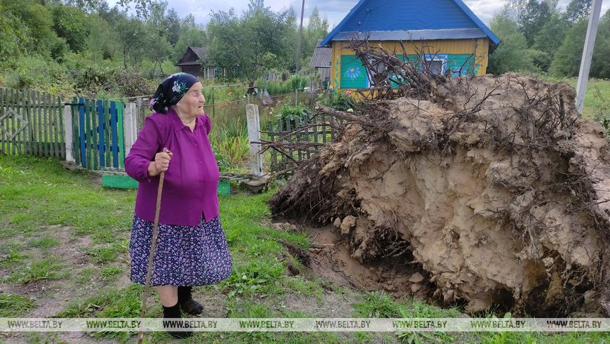 Лидия Стельмах Лидия Стельмах