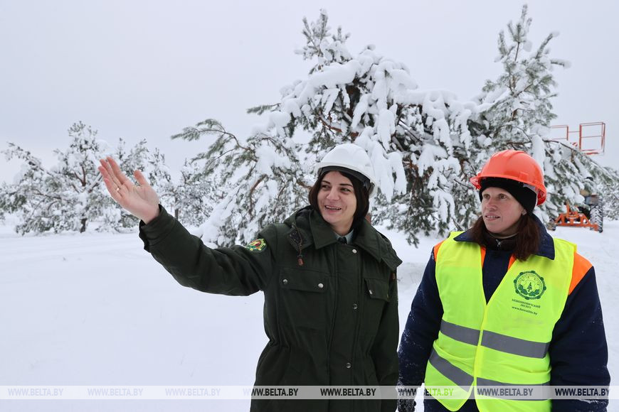 Инженер по лесовосстановлению и мелиорации Бешенковичского лесхоза Ирина Богач и лесовод Елена Шестова