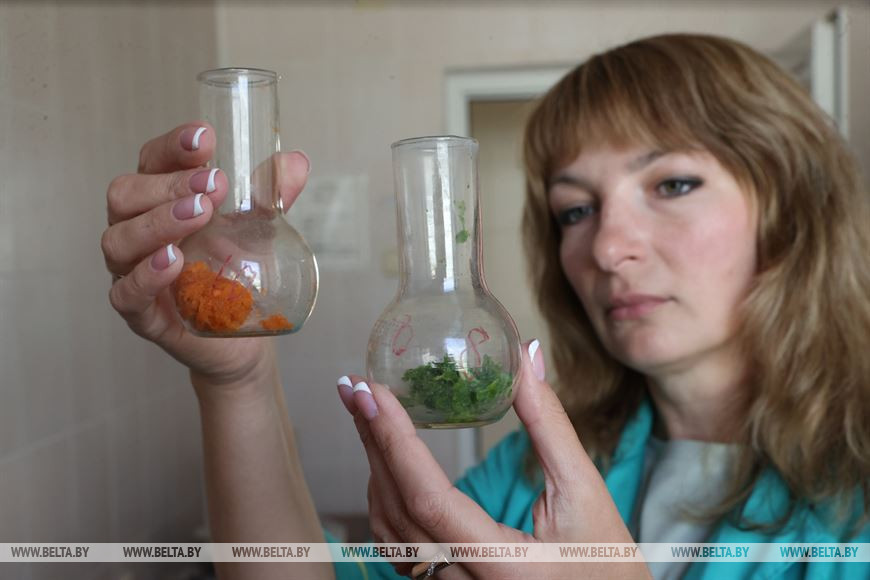 Людмила Дроздова