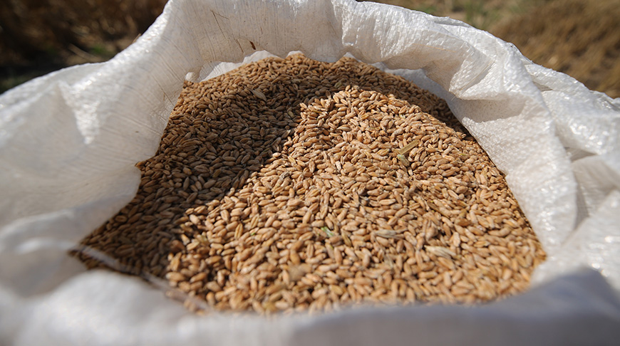 Фото из архива Фото из архива